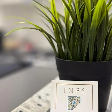Ines * 贾迪尼-纳克索斯